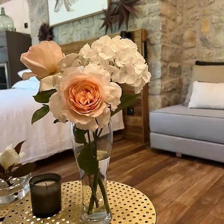 Boisbolchet Ecolodge-spa Pensionat Bouillargues